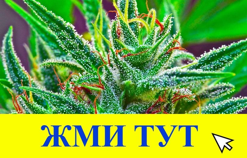 Купить наркотики в Тюкалинске